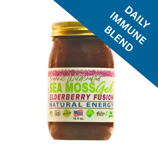 Jar of Elderberry Fusion Sea Moss Gel 16oz with wildcrafted sea moss, elderberries, ginger, cinnamon, cloves, and lime juice, showing rich spiced blend and smooth texture