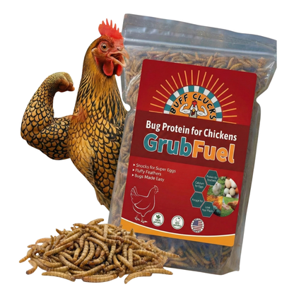 Bag of GrubFuel Black Soldier Fly Larvae protein supplement for chickens