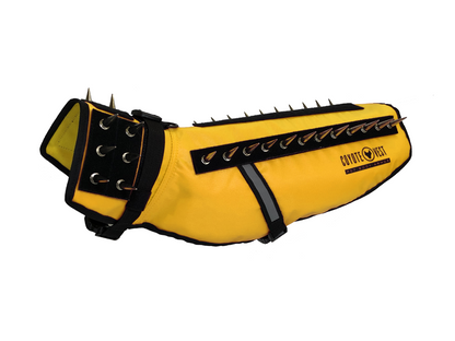Dog wearing CoyoteVest stab-resistant protective body armor against predators